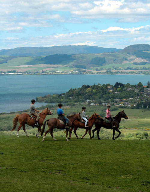 Rotorua Horse Treks